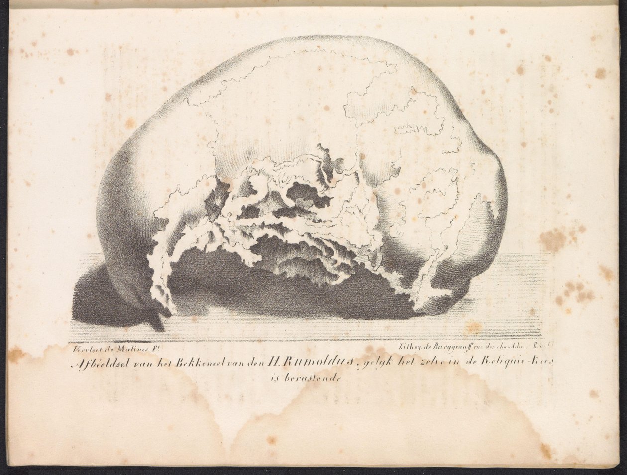 Skull of Saint Rombout, 1825 Bild på Bekkeneel van den H. Rumoldus som den ligger i Reliquie-Kas (titel på objektet) av Frans Vervloet