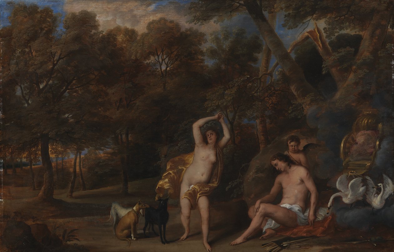 Venus beklagar den dödade Adonis av Frans Wouters
