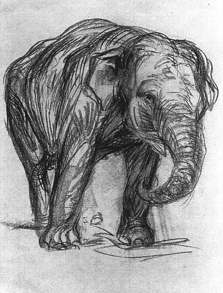 Elephant av Franz Marc
