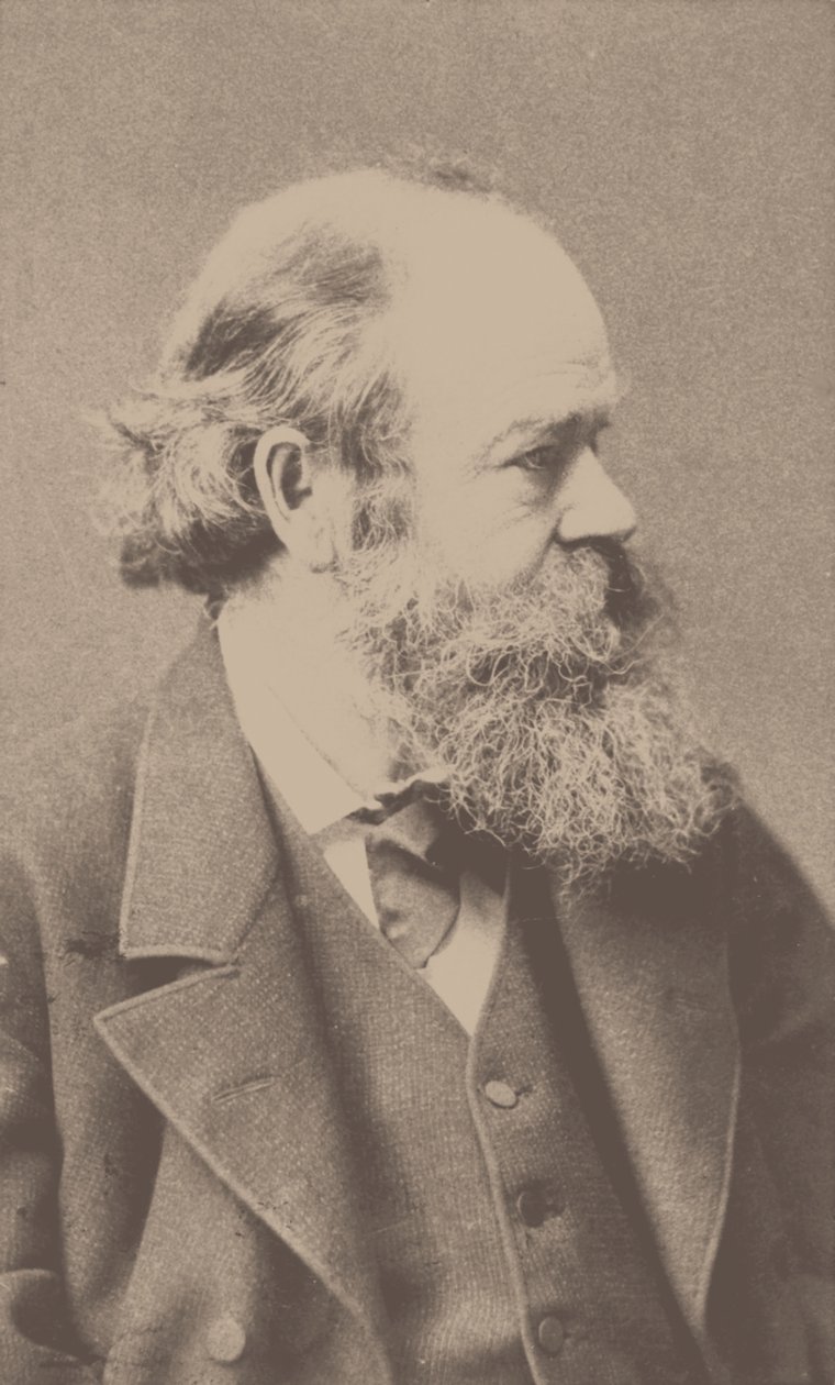 Porträtt av kompositören Robert von Hornstein 1833-1890. av Franz Hanfstaengl