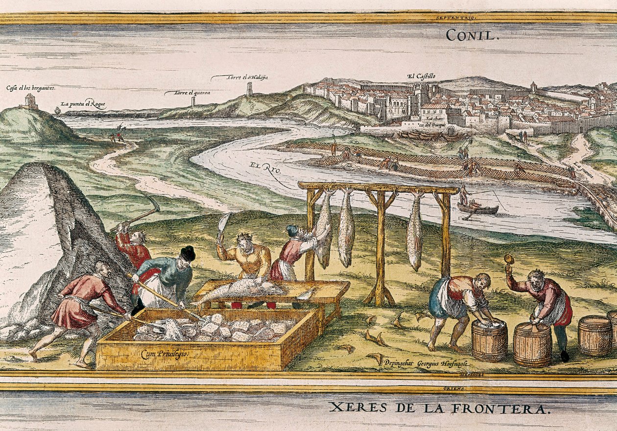 Conil de la Frontera, fiskarna torkar fisken, skär den, säljer den och packar den i fat för försäljning, från "Civitatis Orbis Terrarum" av Franz Hogenberg
