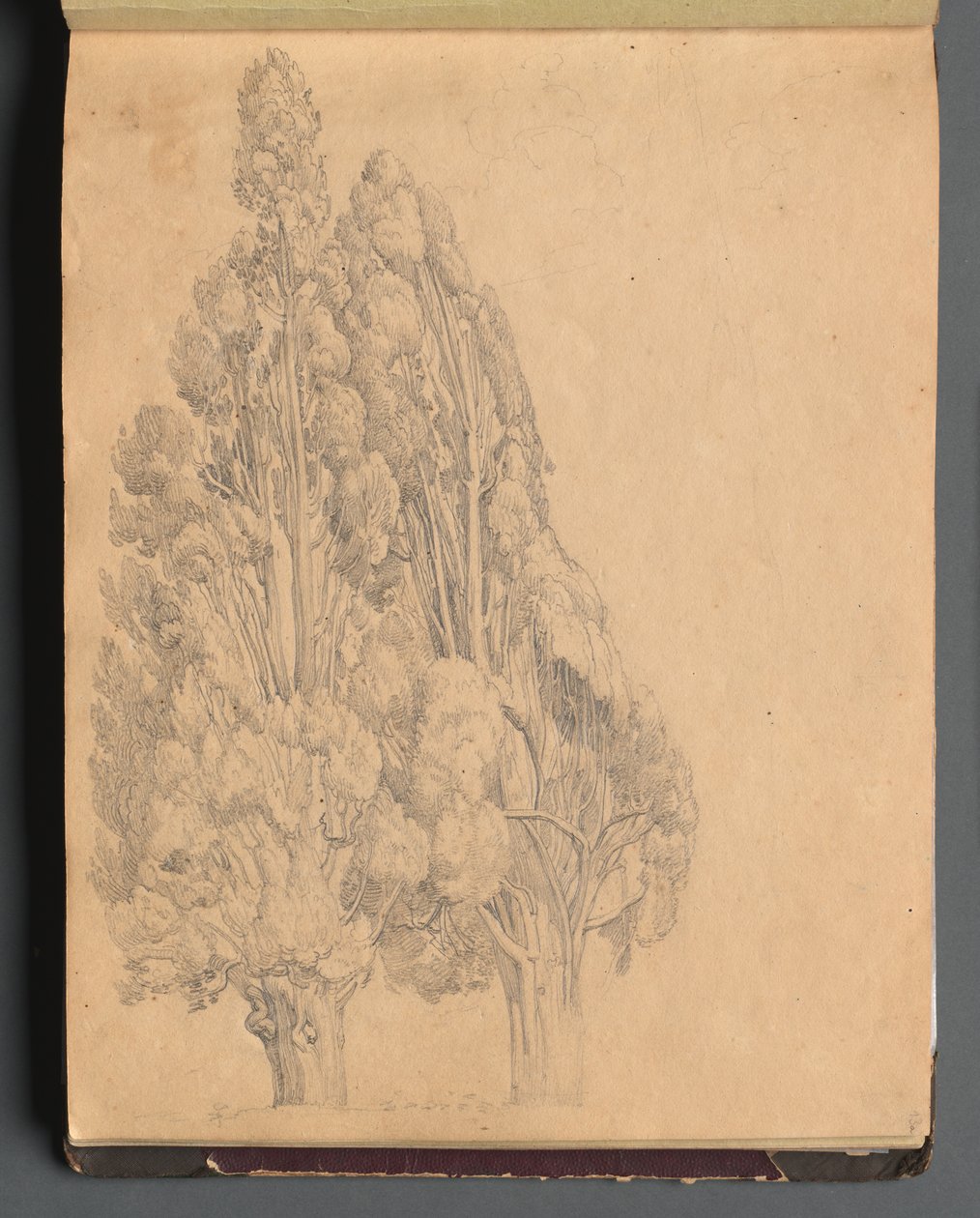 Album med utsikt över Rom och omgivningar, Landskapsstudier, sida 13a: Träd. av Franz Johann Heinrich Nadorp
