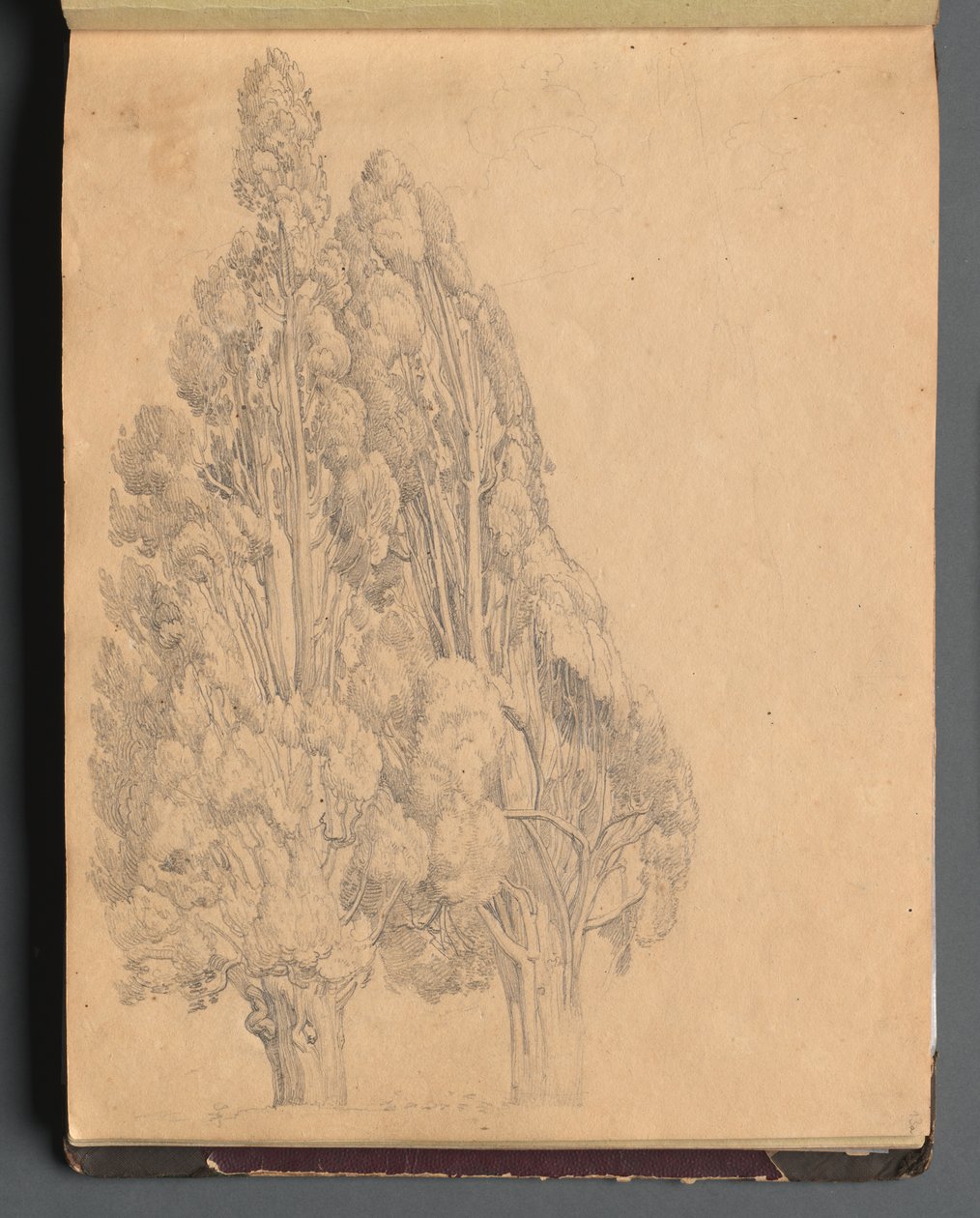 Album med utsikt över Rom och omgivningar, Landskapsstudier, sida 13a: Träd av Franz Johann Heinrich Nadorp
