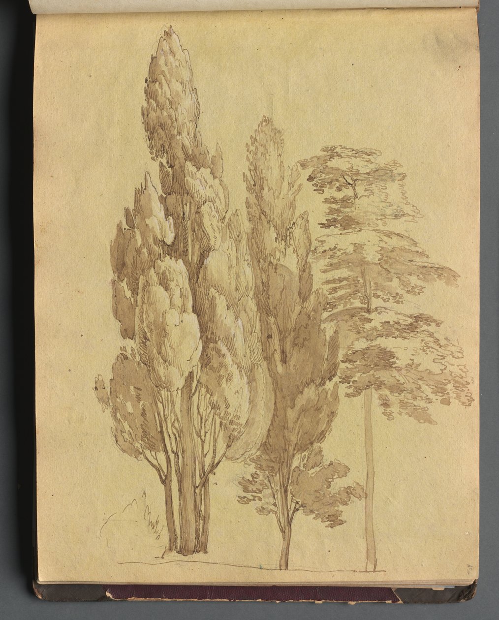 Album med utsikt över Rom och omgivningar, Landskapsstudier, sidan 15a: Träd av Franz Johann Heinrich Nadorp