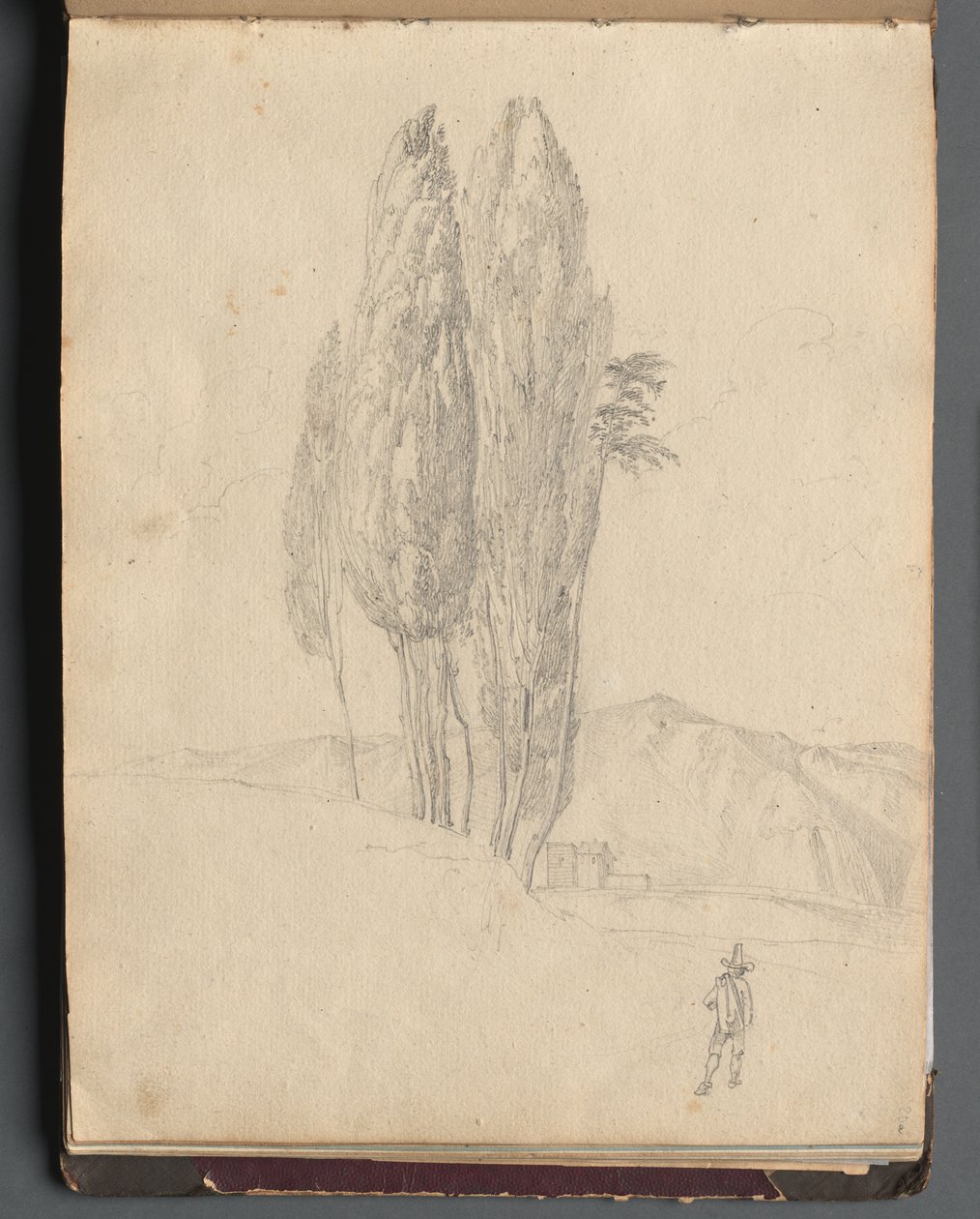 Album med utsikt över Rom och omgivningar, landskapsstudier, sida 20a: Träd av Franz Johann Heinrich Nadorp