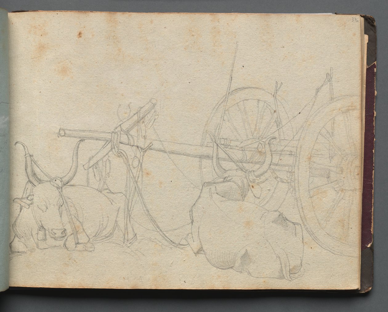 Album med utsikt över Rom och omgivningar, landskapsstudier, sidan 37a: Oxar och vagn. av Franz Johann Heinrich Nadorp