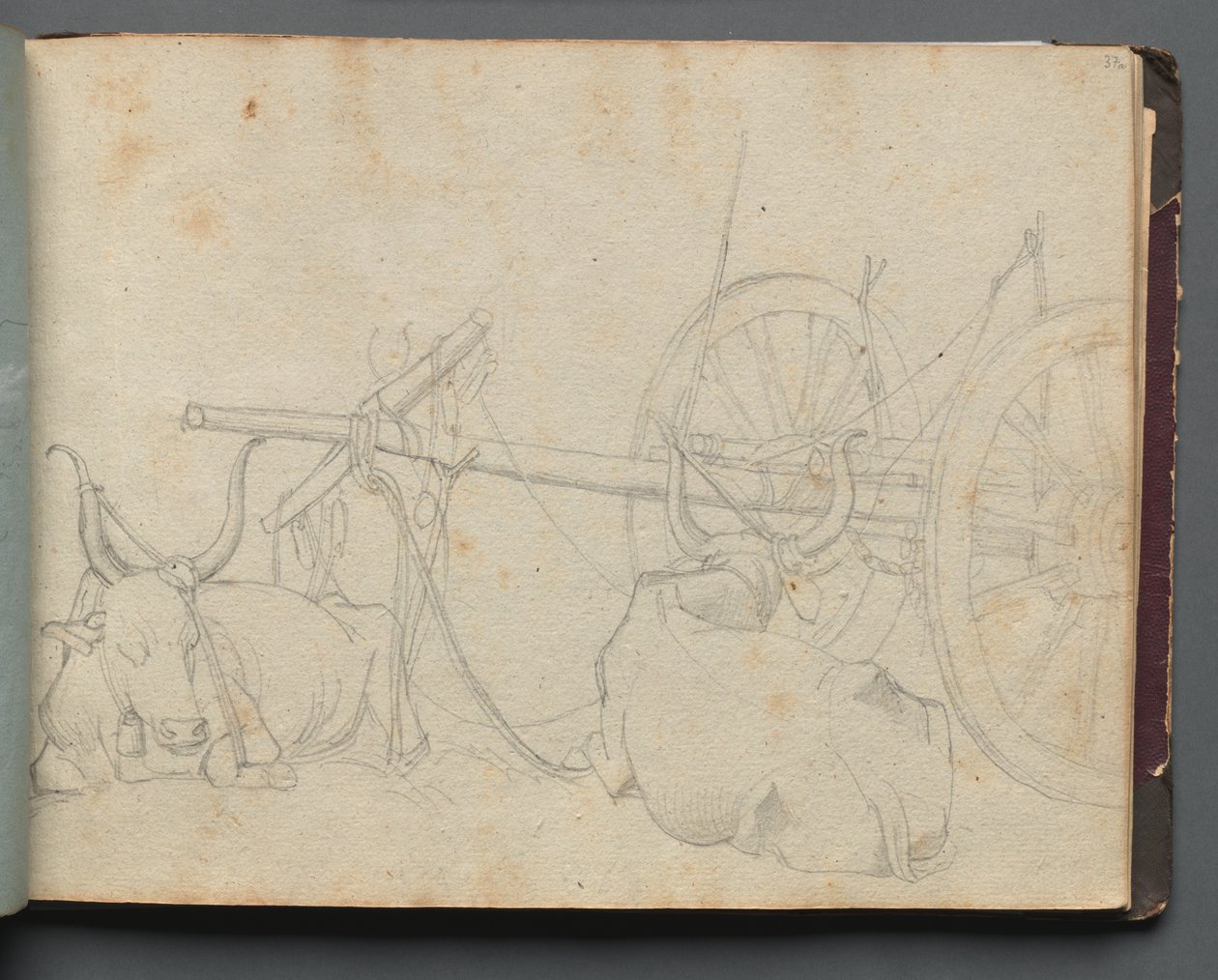 Album med utsikt över Rom och omgivningar, landskapsstudier, sidan 37a: Oxen och vagn av Franz Johann Heinrich Nadorp