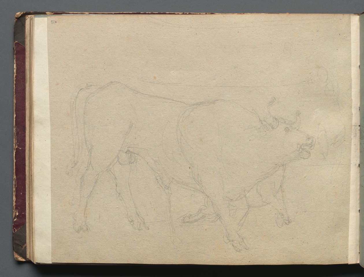 Album med utsikt över Rom och omgivningar, Landskapsstudier, sidan 51b: Studie av en tjur av Franz Johann Heinrich Nadorp