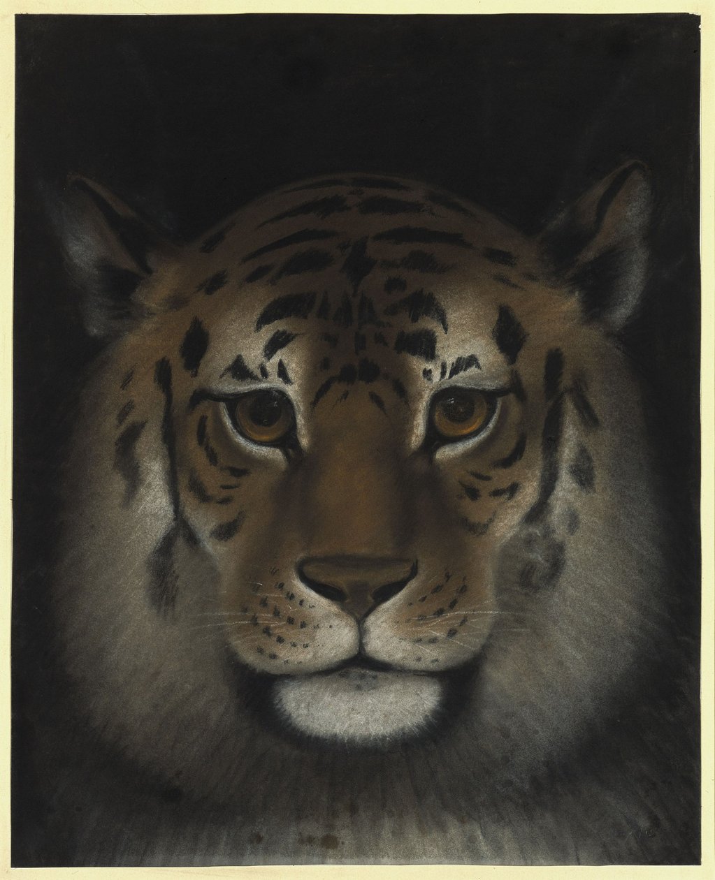Tigerhuvud av Franz Krüger