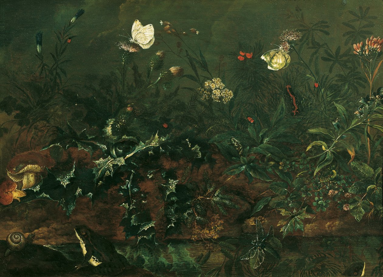 Gräsmatta med tistel, grodor och trollslända av Franz Michael Siegmund von Purgau d. Ä.