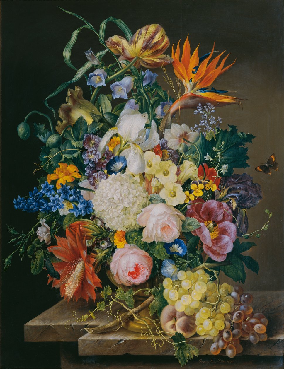 blomma bit av Franz Xaver Petter