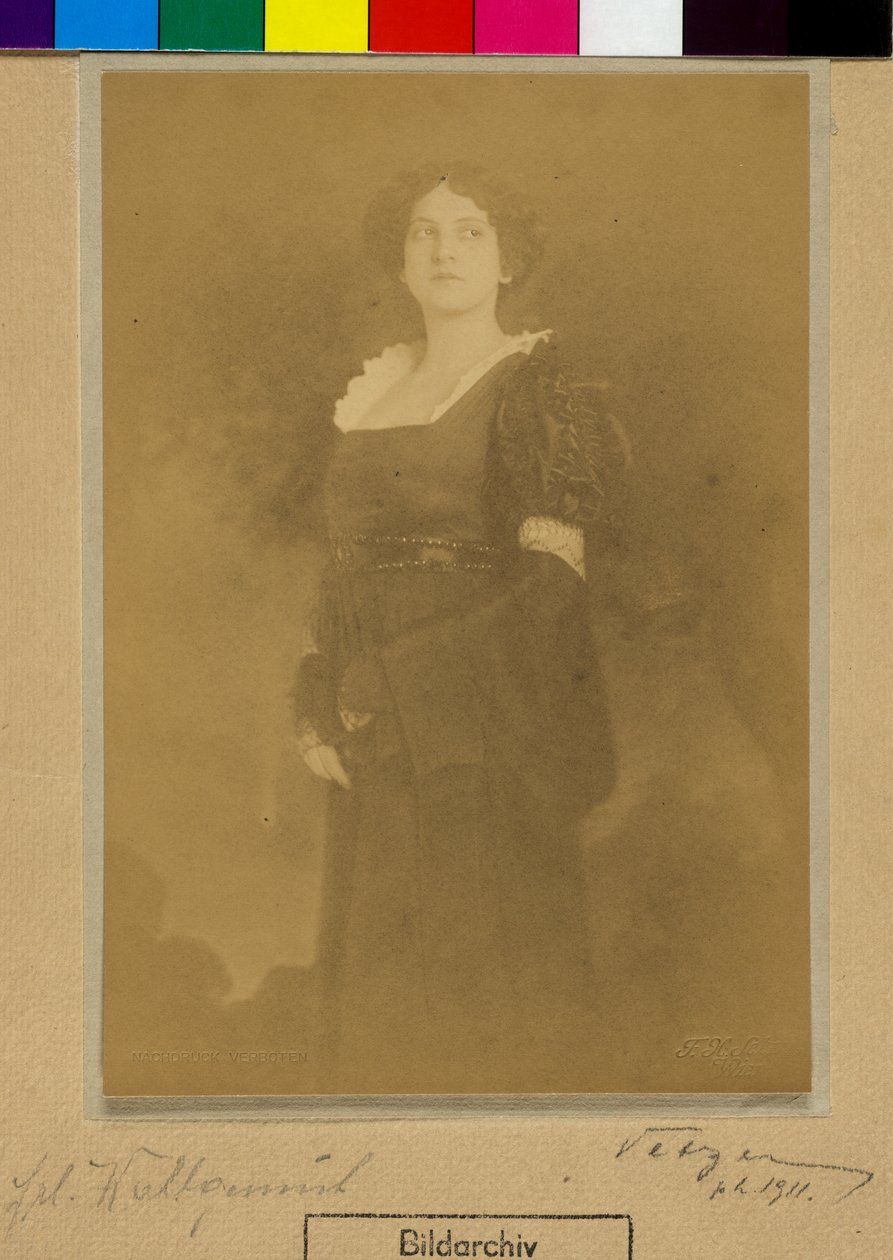 Wohlgemuth av Franz Xaver Setzer