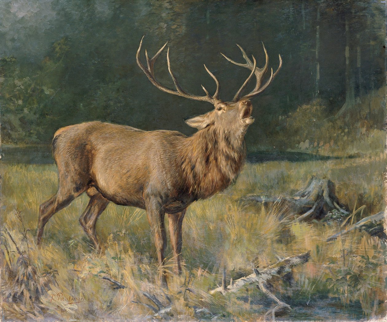 Brun rådjur av Franz Xaver von Pausinger