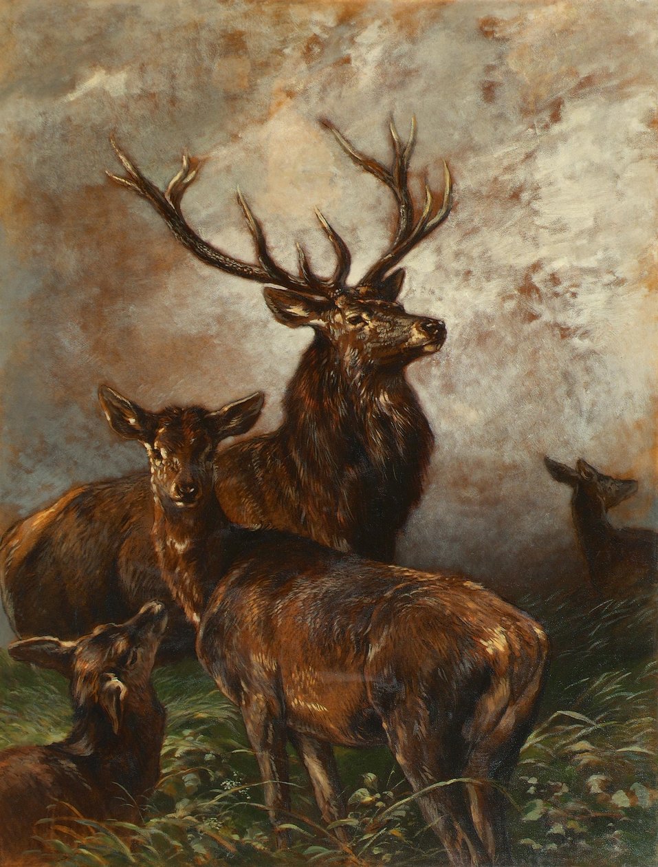 Hjortar och hindar av Franz Xaver von Pausinger