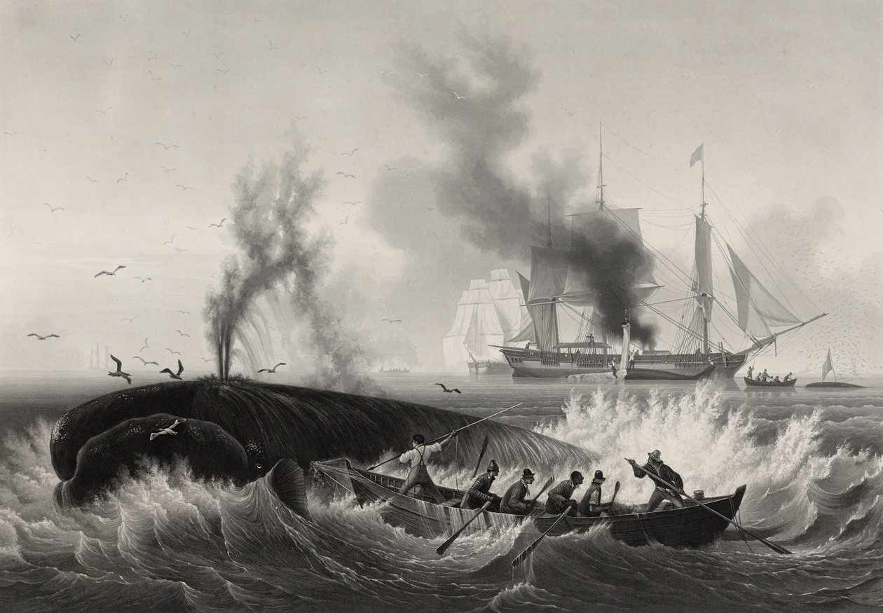 Pêche de la Baleine, 1834-35 (akvatint & gravyr med etsning på papper) av Frederic Martens
