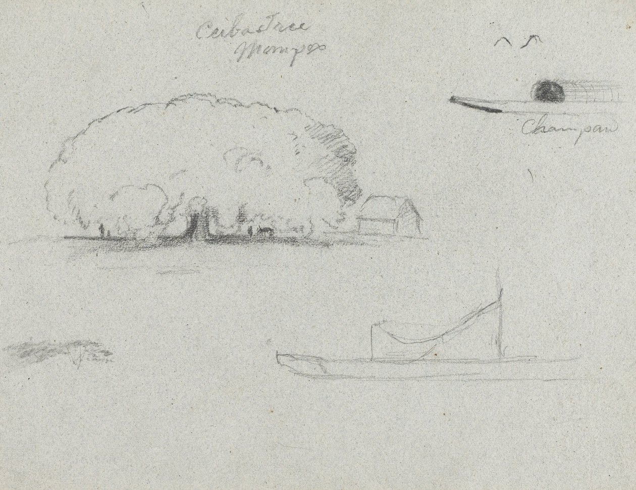 Ceiba Tree på Mompox, Chapman Canoe, Trees, and a Partial Boat, Rio Magdalena, Colombia av Frederic Edwin Church