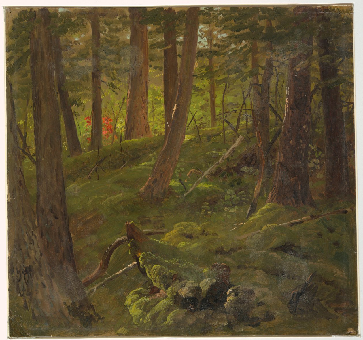 Drawing, Jungle Vegetation, 1865 av Frederic Edwin Church