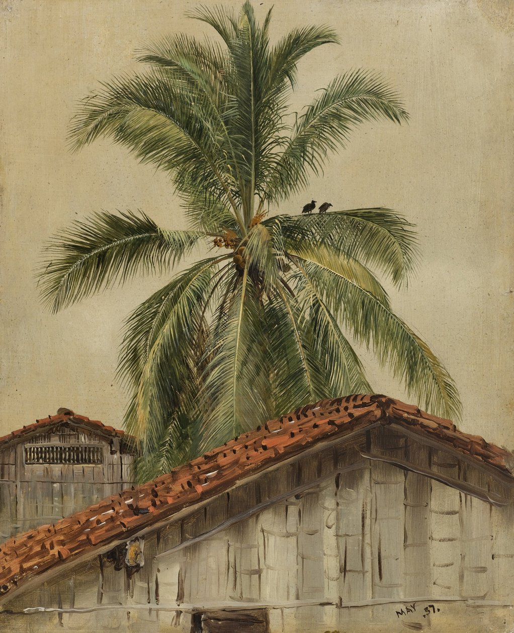 Palmer och hustak, Ecuador av Frederic Edwin Church