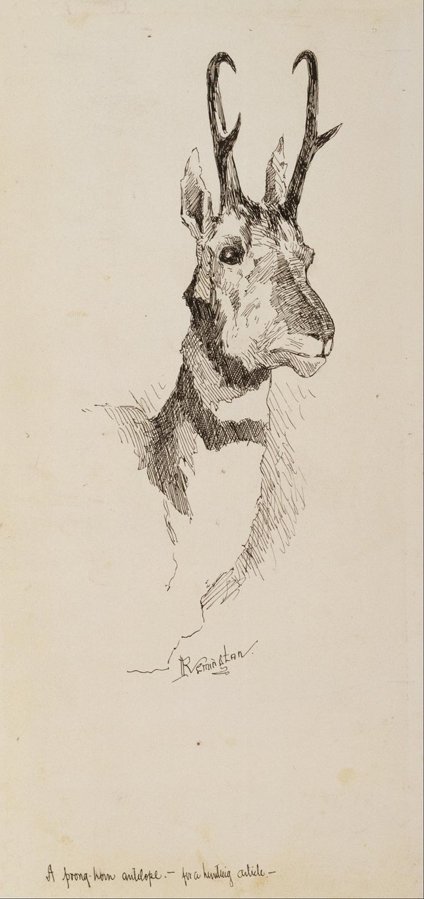 En Pronghorn -antilop av Frederic Remington