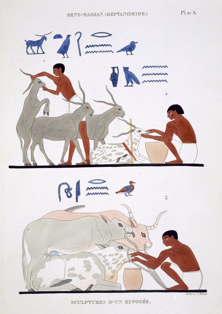 Veterinärarbete, från ett sällsynt register över fresker från Thebe, registrerat 1819-1822 vid hans andra besök i Egypten av Frederic Cailliaud (1787-1869), färg litho av Frederic (after) Cailliaud