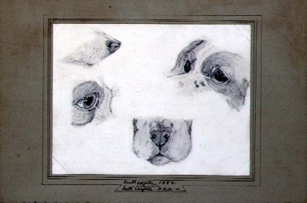 Studier av konstnärens hund av Frederic (attr. to) Leighton