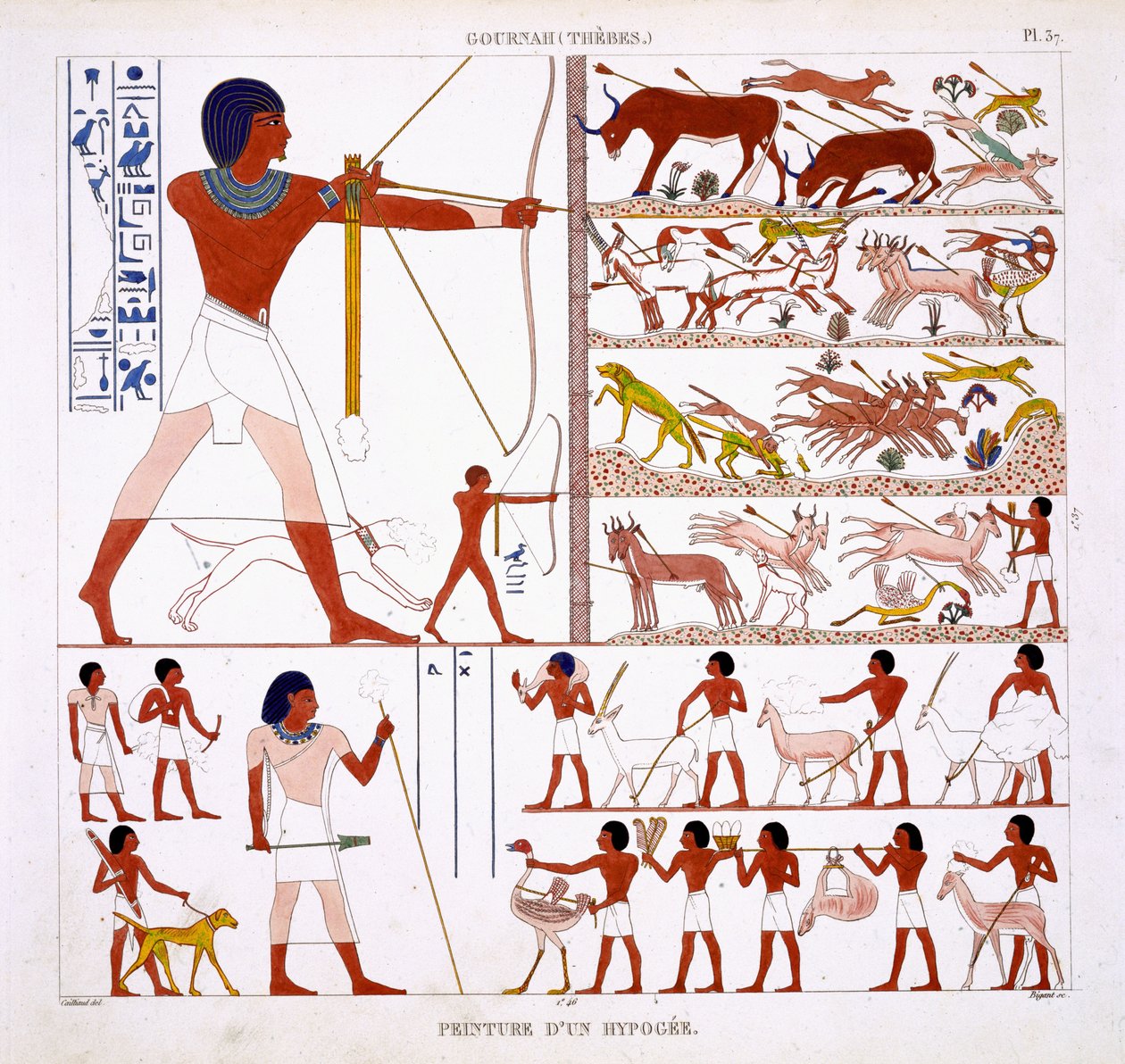 Jaktscener, från en sällsynt uppteckning av fresker från Thebe, inspelade 1819-1822 vid sitt andra besök i Egypten av Frederic Cailliaud (1787-1869), färg litho av Frederic Cailliaud