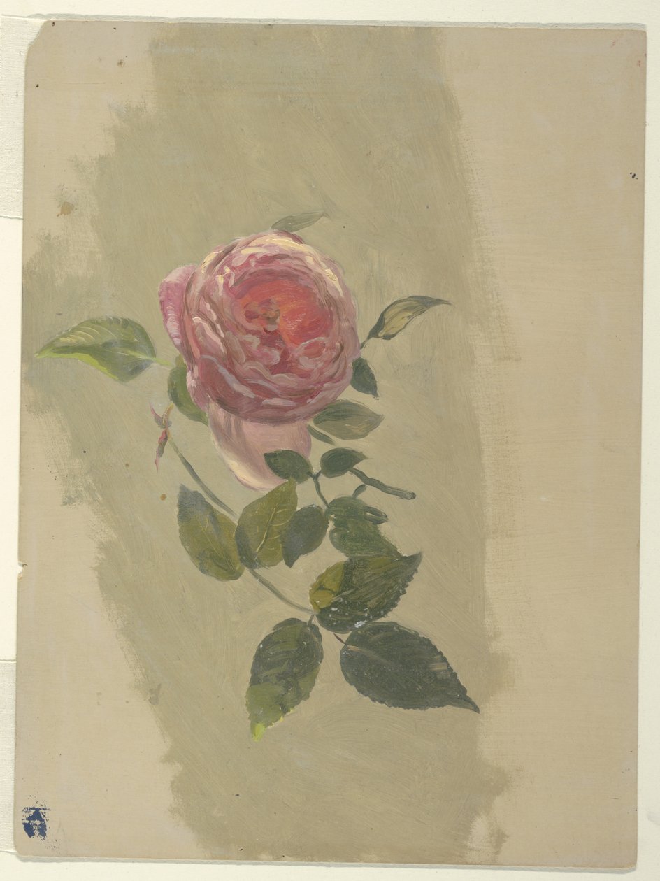 En rosenkvist av Frederic Edwin Church