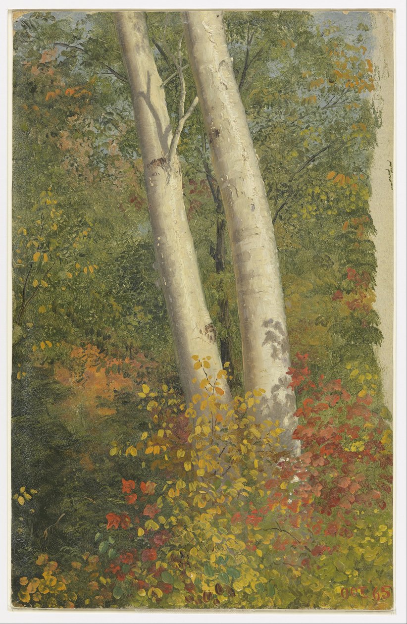 Björkträd på hösten av Frederic Edwin Church