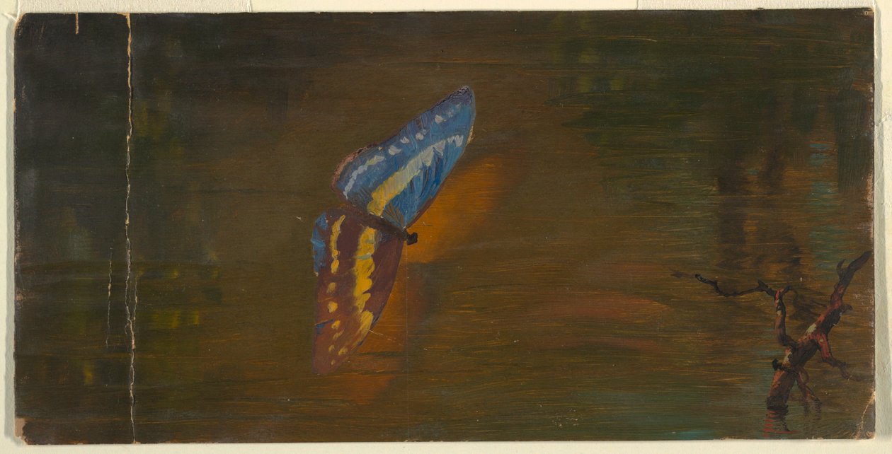 Fjäril över vatten av Frederic Edwin Church