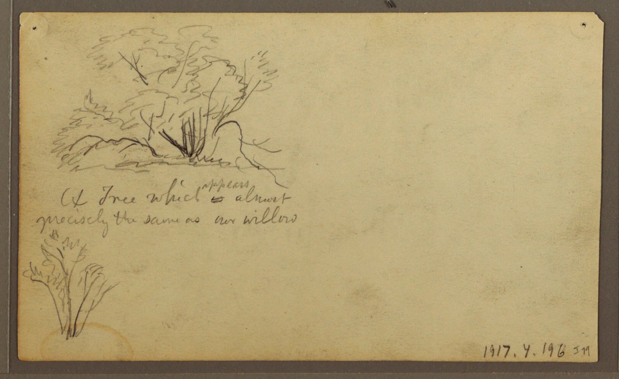 Teckning, En hydda på posteringar, Guayaquil, Ecuador, maj 1857 av Frederic Edwin Church