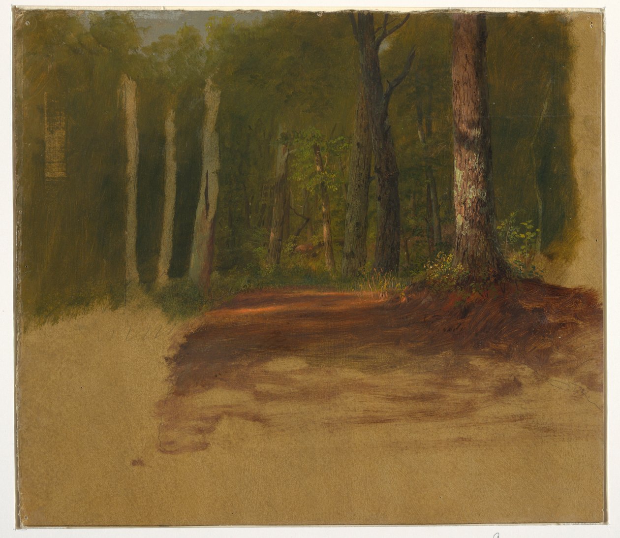 Teckning, En väg in i skogen, 1850-60 av Frederic Edwin Church