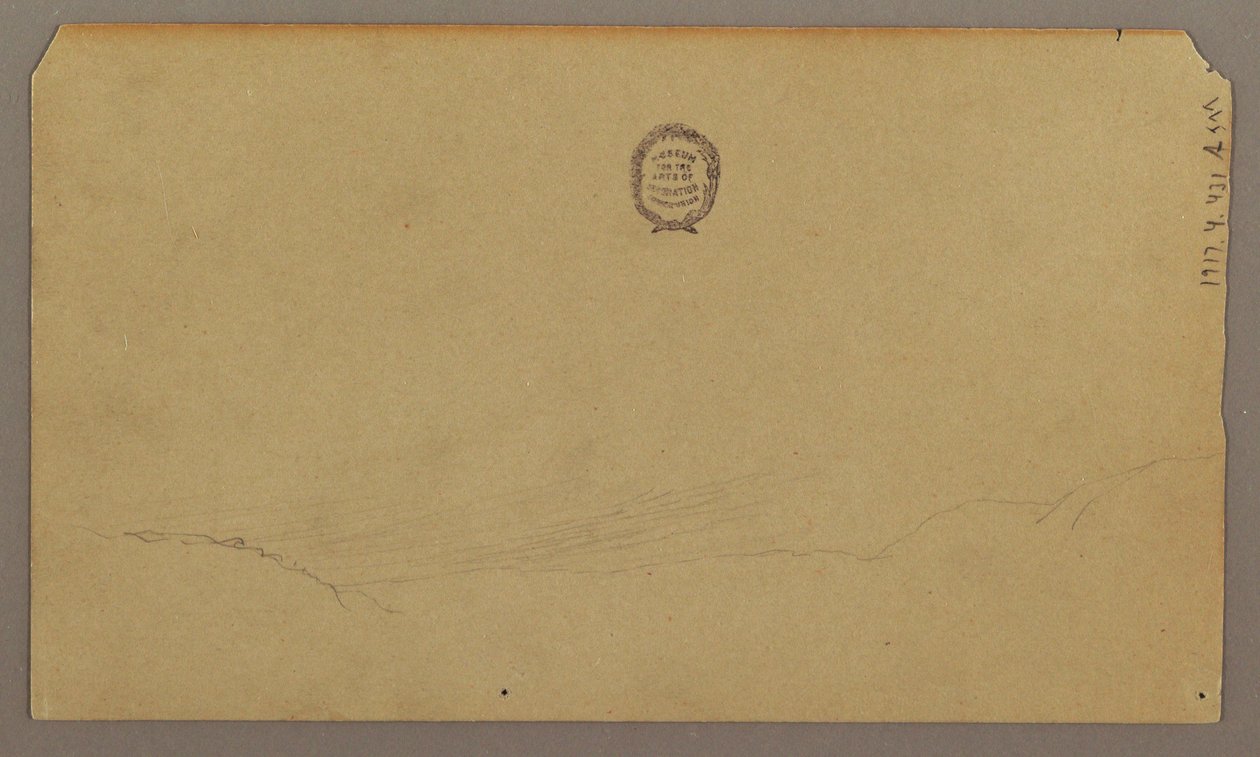 Teckning, Botaniska skisser, augusti 1865 av Frederic Edwin Church