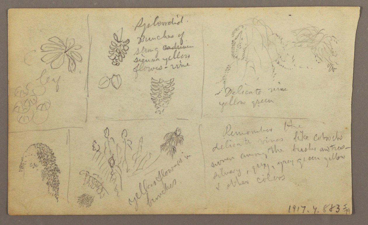 Teckning, Botaniska skisser, Ecuador eller Colombia; Verso: Botaniska skisser, 1857 av Frederic Edwin Church