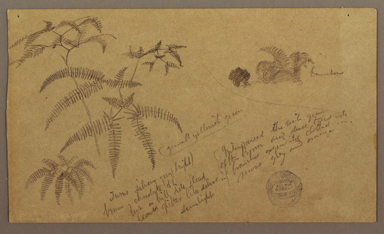 Teckning, Botaniska skisser, maj-augusti 1865 av Frederic Edwin Church
