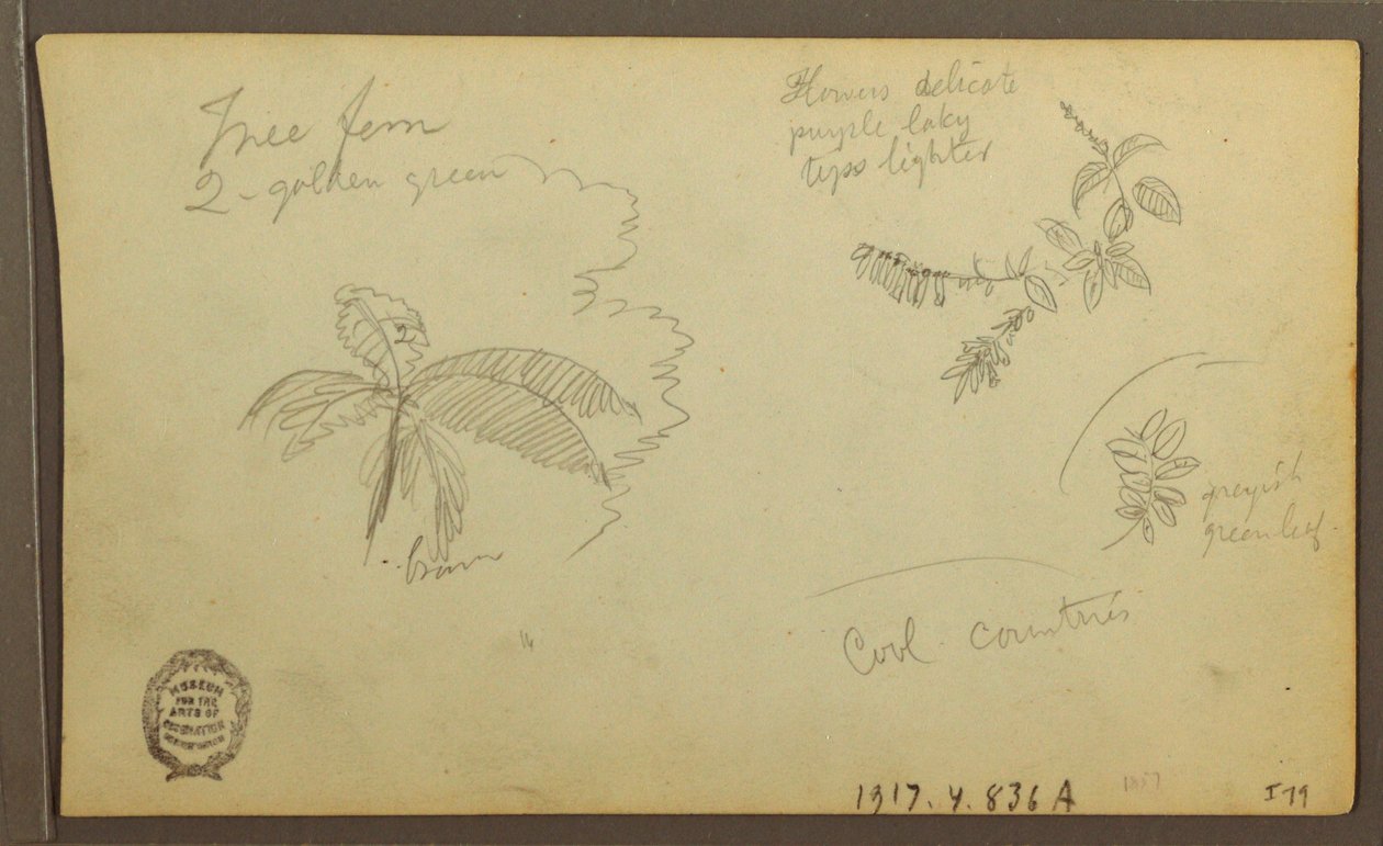 Teckning, Botaniska skisser; Verso: Botaniska skisser, 1857 av Frederic Edwin Church