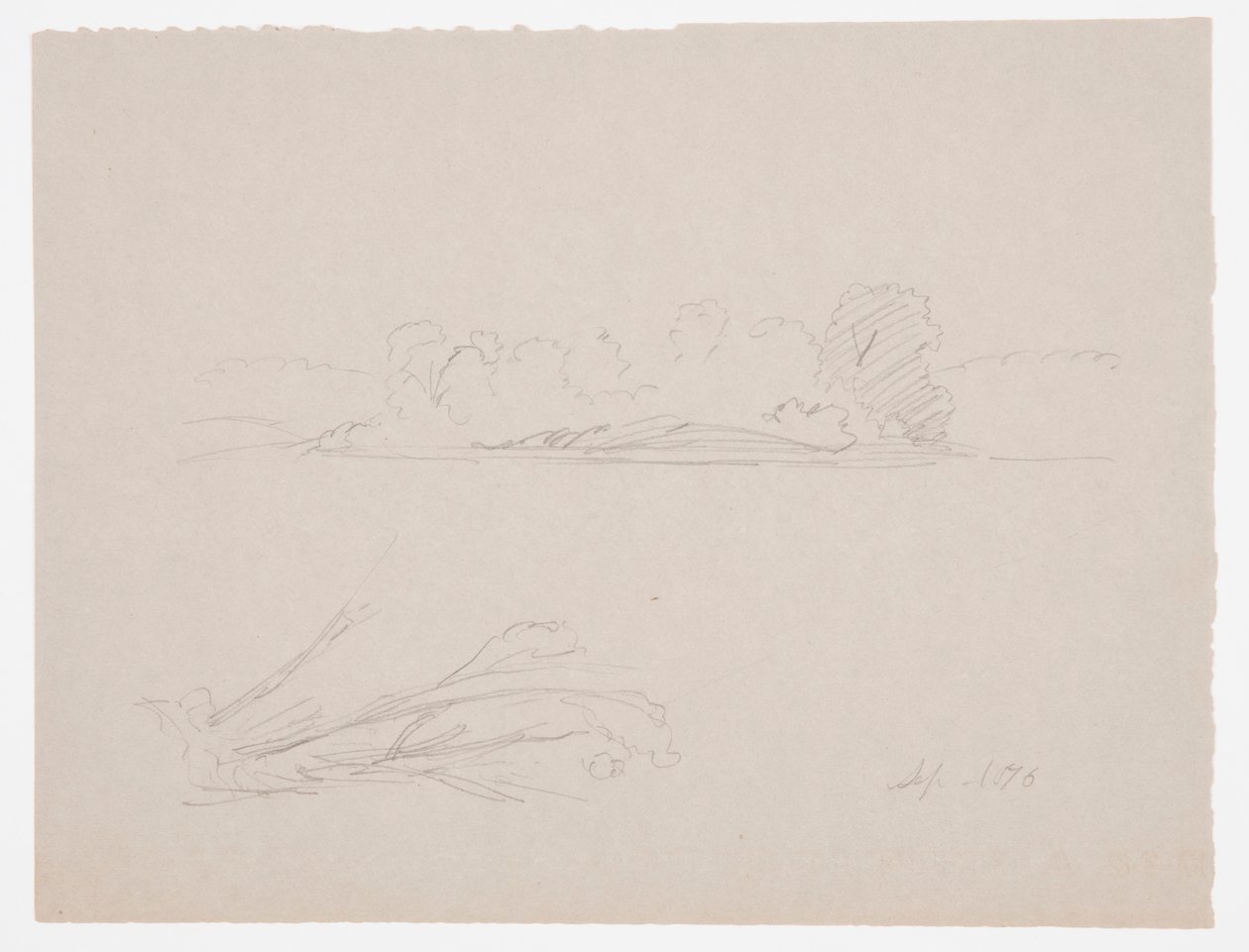 Teckning, Botaniska skisser: landskap, träd vid en strand, september 1876 av Frederic Edwin Church
