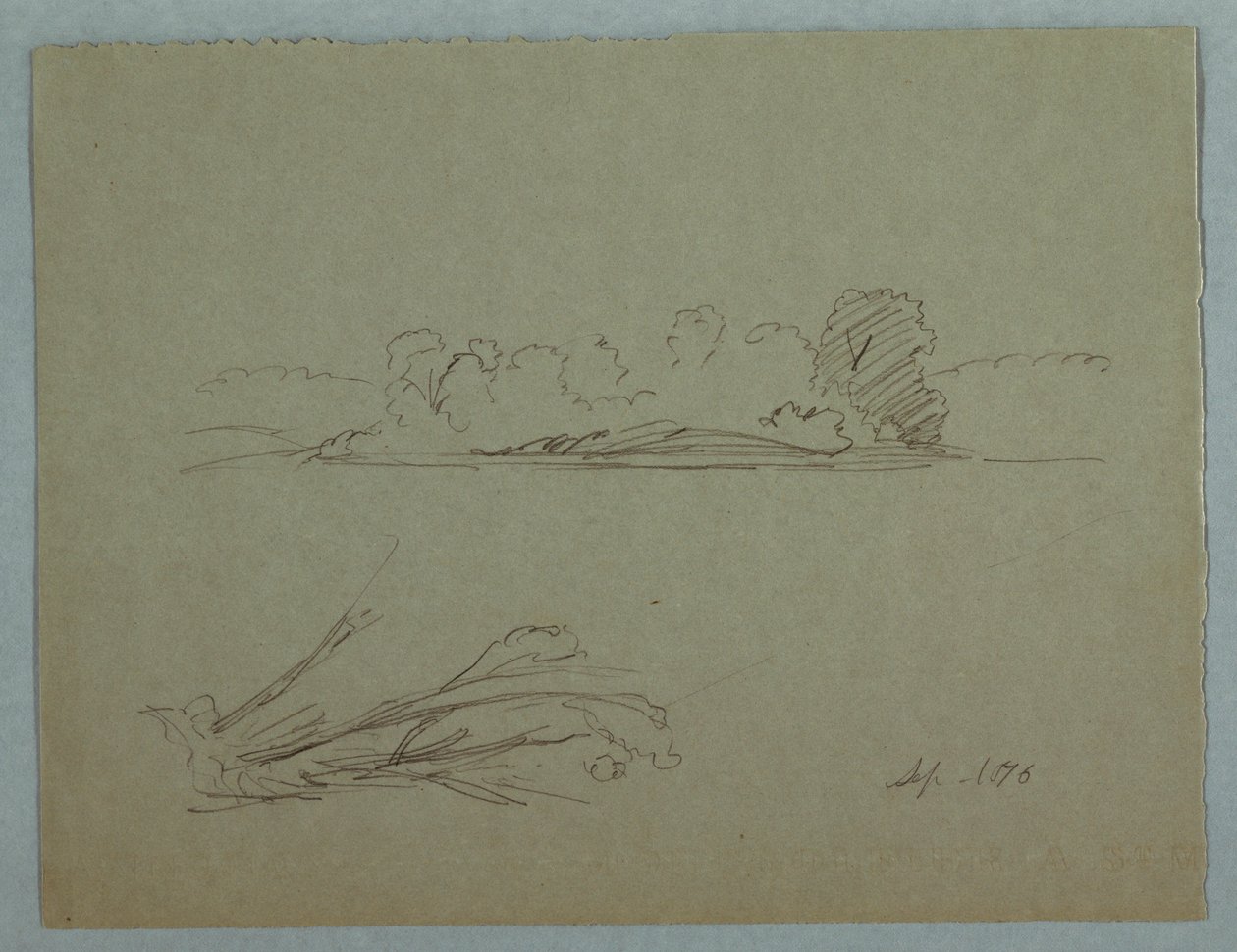 Teckning, Botaniska skisser: landskap, träd vid en strand, september 1876 av Frederic Edwin Church