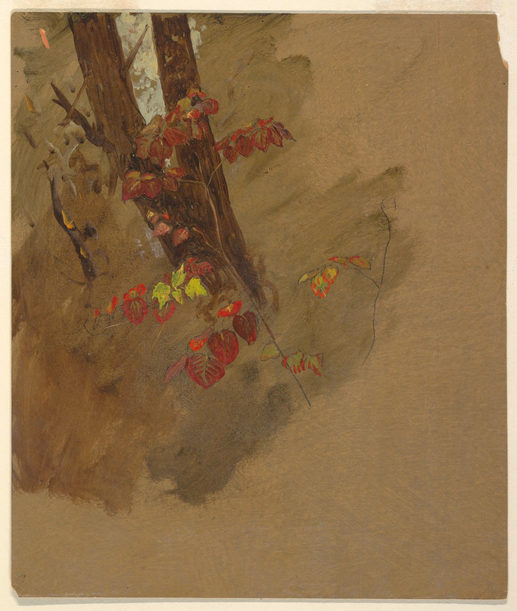 Teckning, botaniska studier, 1860-70 av Frederic Edwin Church