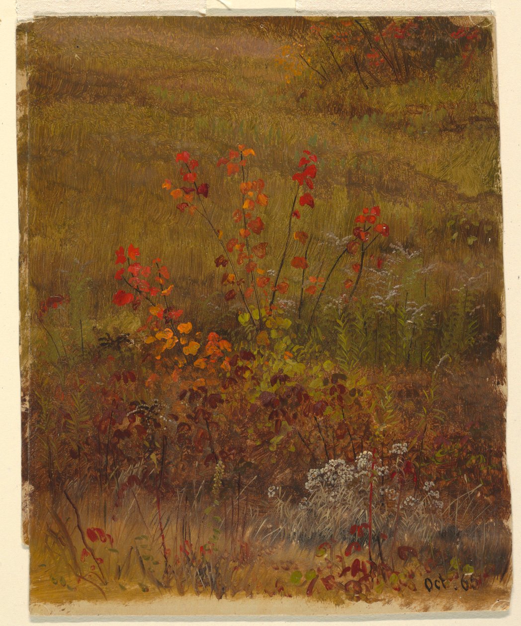 Teckning, Botaniska studier, oktober 1865 av Frederic Edwin Church