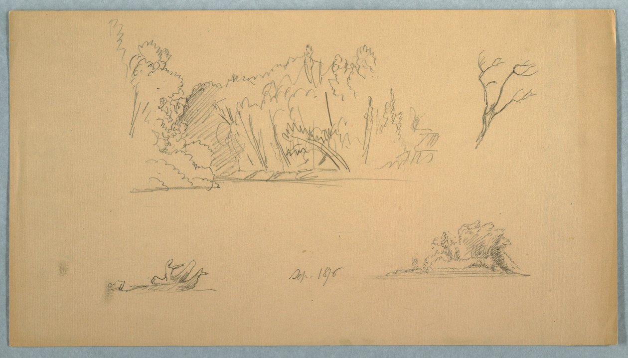 Teckning, Botaniska skisser: träd, träd vid strand, september 1876 av Frederic Edwin Church