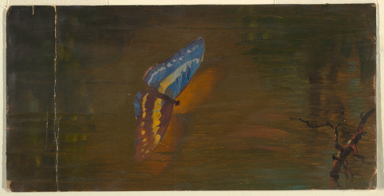 Teckning, Fjäril över vatten, ca 1865 av Frederic Edwin Church