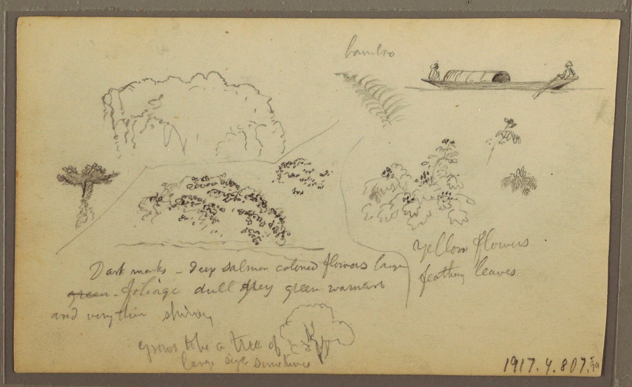 Teckning, Kyrka, torn; Averso: Figurer i kanot, Botaniska skisser, 1857 av Frederic Edwin Church