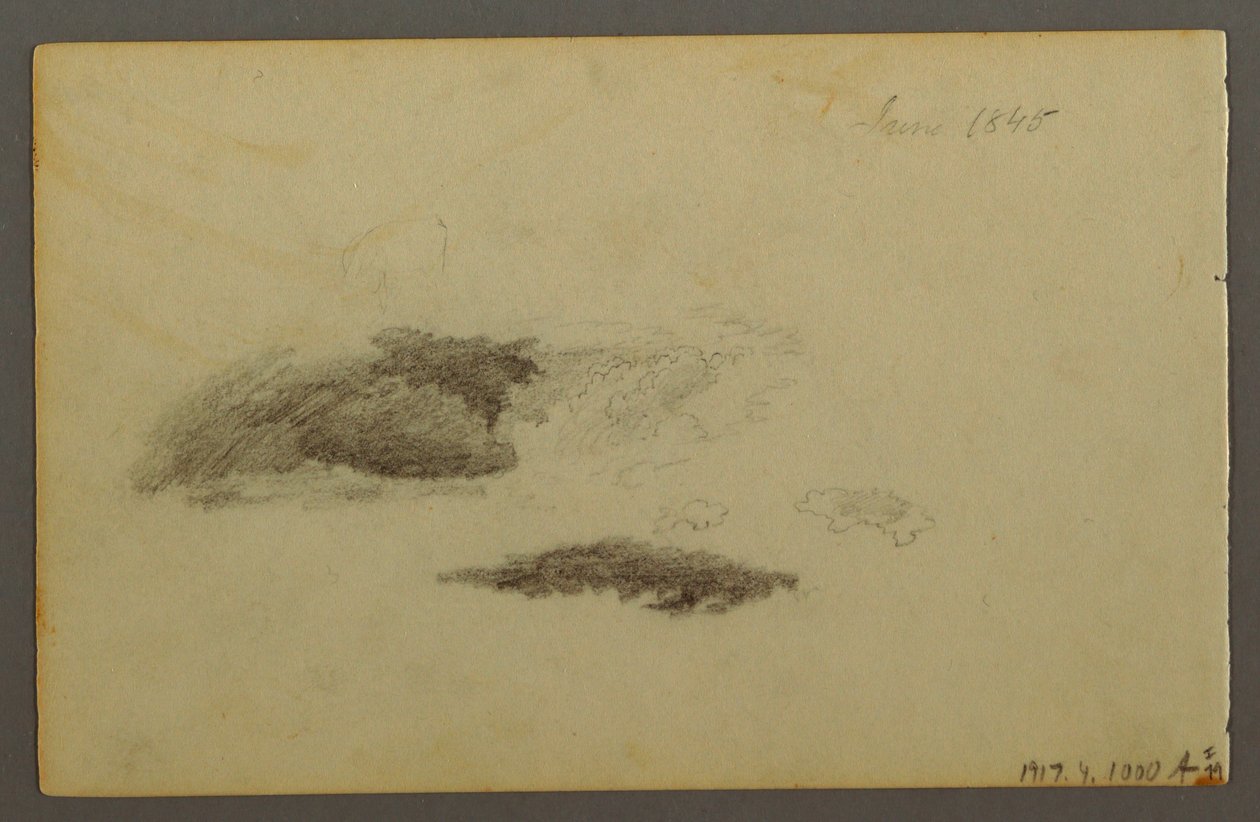 Teckning, Rötad björk, 1844 av Frederic Edwin Church