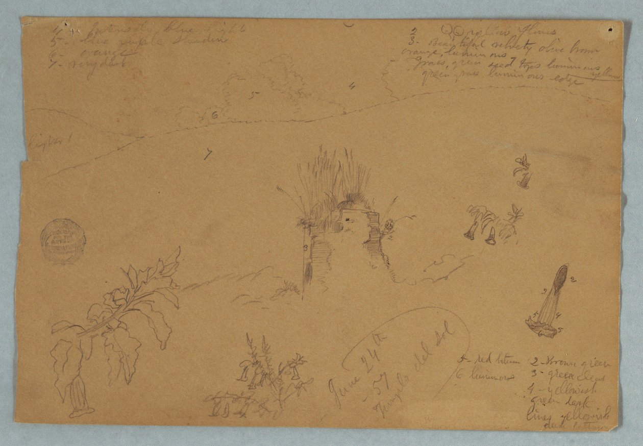 Teckning, Teckning.  Botaniska skisser och molnskisser nära Quito, Ecuador, 24 juni 1857 av Frederic Edwin Church