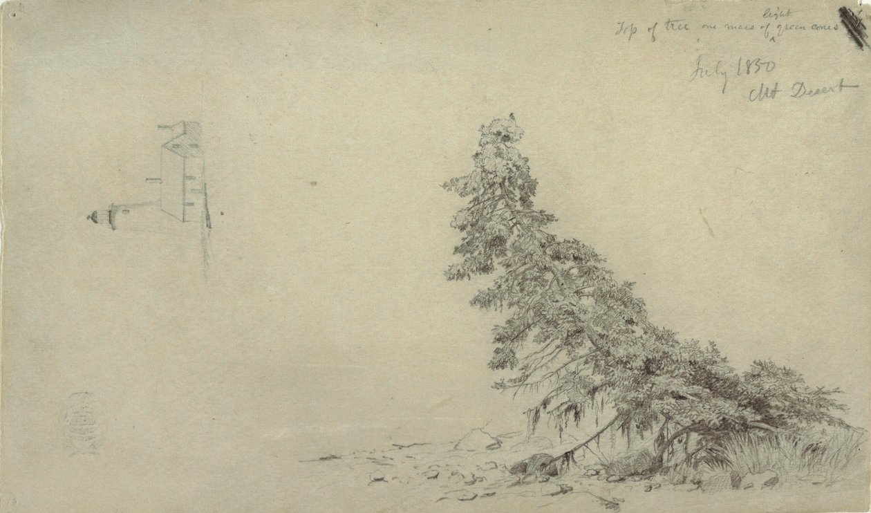 Teckning, Evergreen Tree Near the Shore with a Detail of the Lighthouse and a House, Mount Desert, Maine, juli 1850 av Frederic Edwin Church