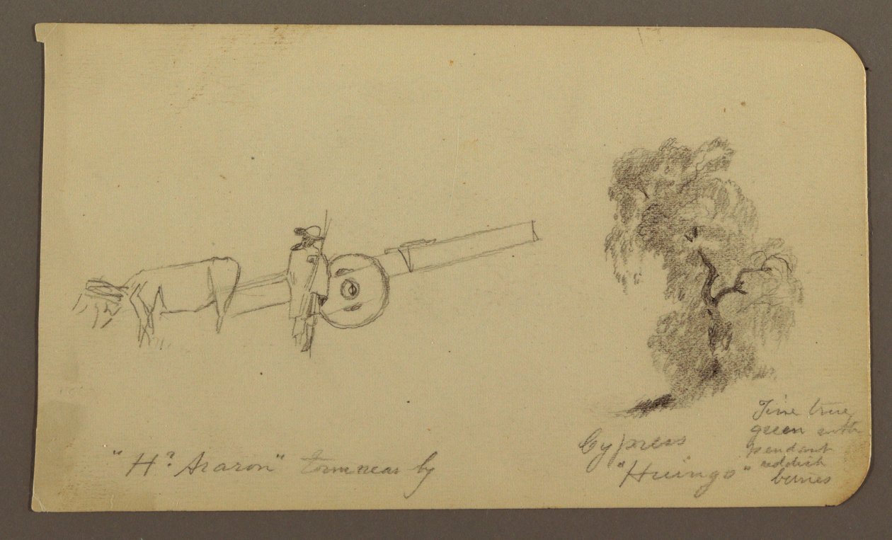 Teckning, Figur och oxkärra, Cypresser; Verso: Vy över Cuitzeosjön, januari 1885 av Frederic Edwin Church