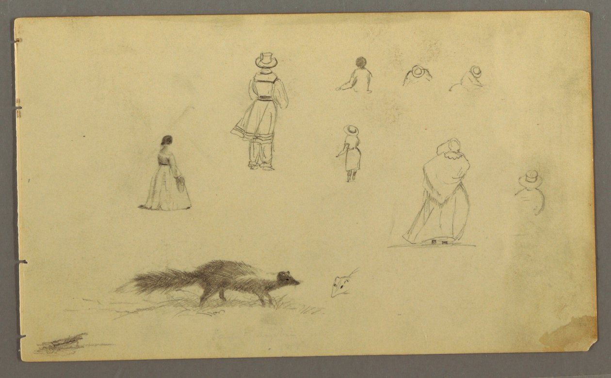 Teckning, Figurstudier bakifrån, en skunk, möjligen 1857-58 av Frederic Edwin Church