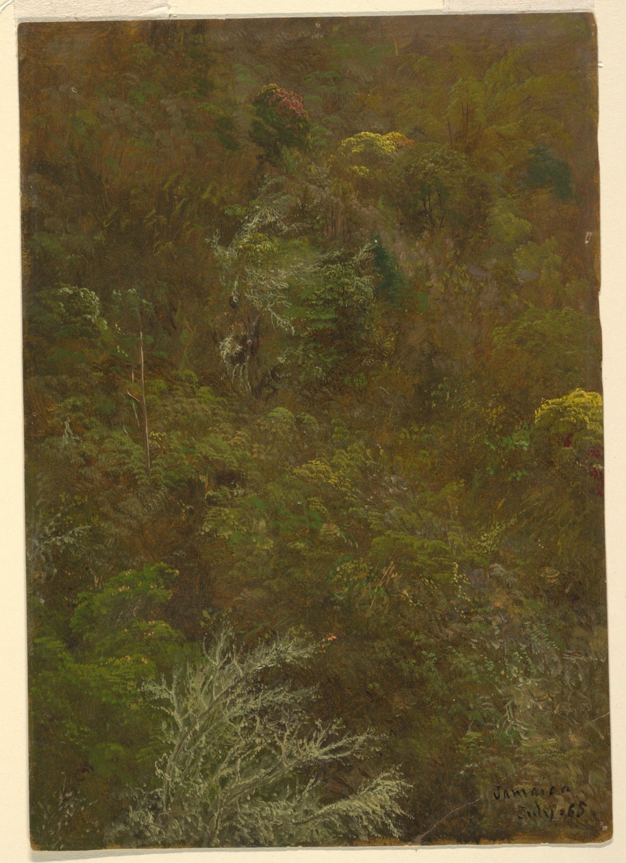 Teckning, sluttning täckt av buskar och träd, juli 1865 av Frederic Edwin Church
