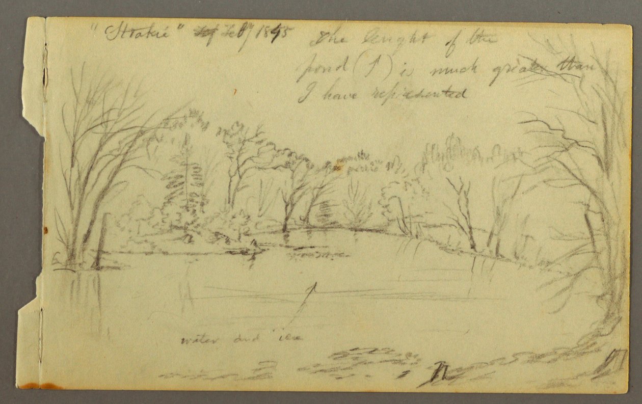 Teckning, Htakie () Damm omgiven av träd, 1845 av Frederic Edwin Church