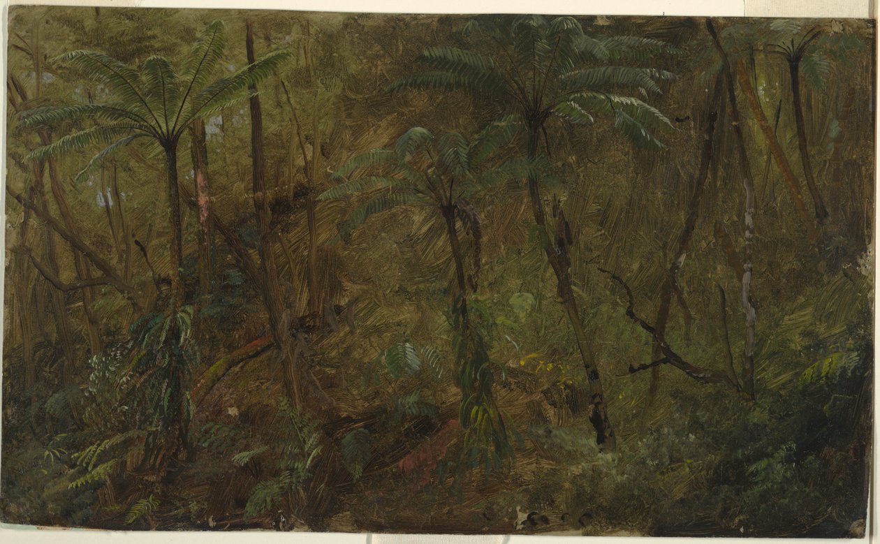 Teckning, I skogen i Jamacia, Västindien, 1865 av Frederic Edwin Church
